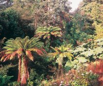 Lost Gardens of Heligan