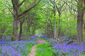 Subpage Banner