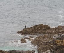 Zennor and River Cove