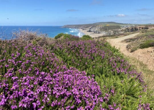 A small, independent, eco friendly holiday park in Cornwall with the perfect location
